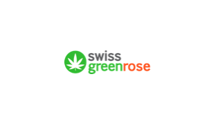 Swiss Green Rose