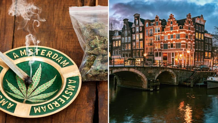Amsterdam Cannabis limit