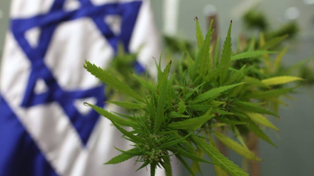Israeli cannabis sector