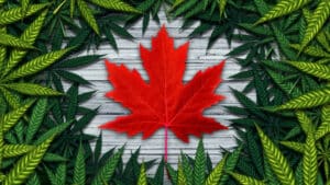 medical cannabis in Canada