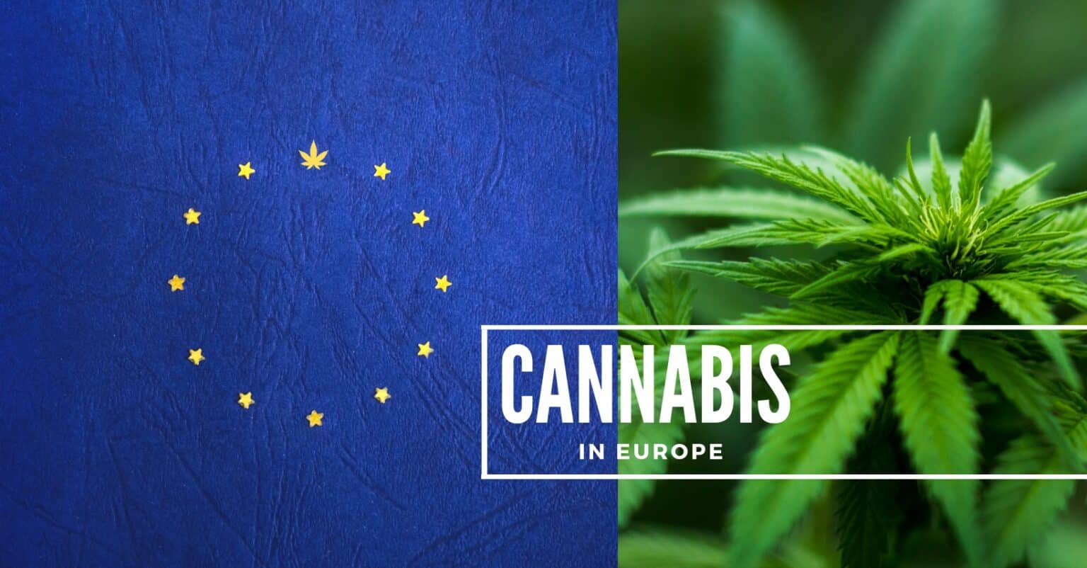 Report Reveals 22.2 Million Europeans Used Cannabis in 2022