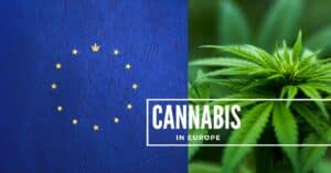Report Reveals 22.2 Million Europeans Used Cannabis in 2022